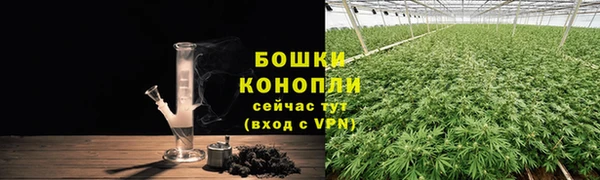 твердый Надым