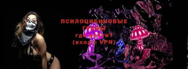 стафф Билибино