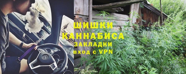 твердый Надым