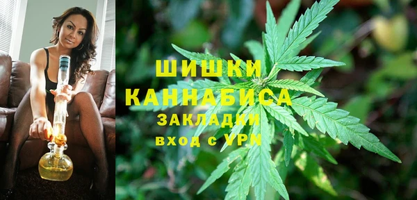 твердый Надым