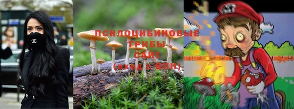 твердый Надым