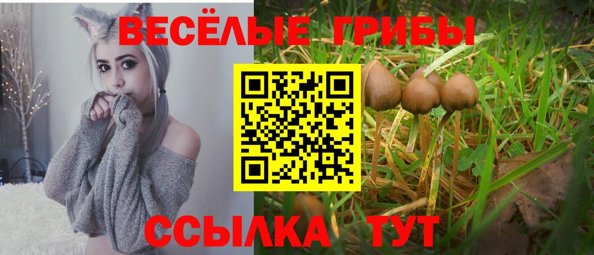 Псилоцибиновые грибы прущие грибы Владикавказ