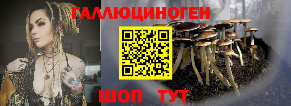 Галлюциногенные грибы Psilocybine cubensis  Галлюциногенные грибы Cubensis  Вход с VPN  Владикавказ 